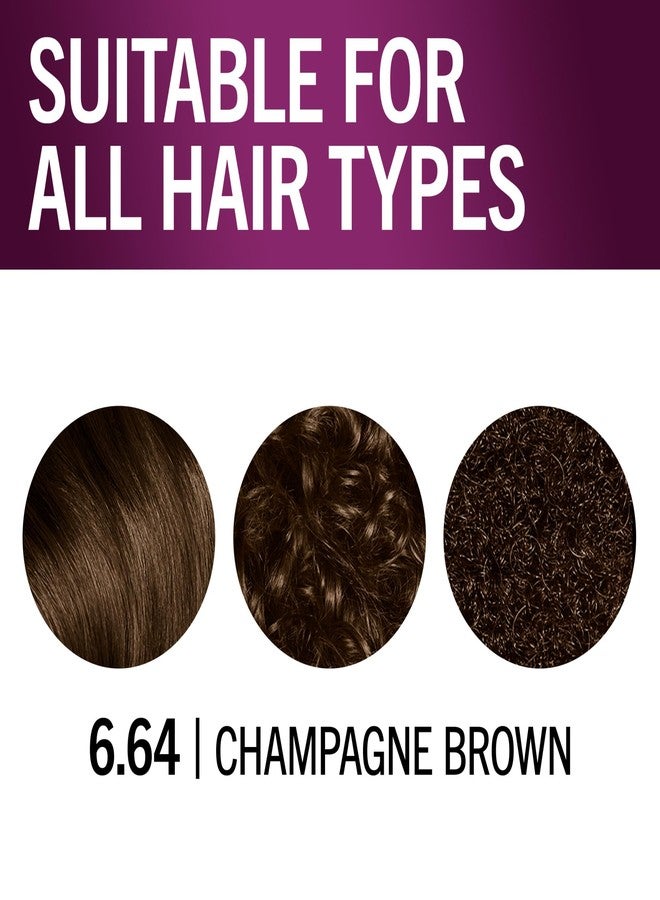 Schwarzkopf Keratin Color Permanent Hair Color, 6.64 Champagne Brown, 1 Application - Salon Inspired Permanent Hair Dye, for up to 80% Less Breakage vs Untreated Hair and up to 100% Gray Coverage - Image 5