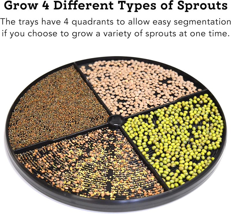 Tribest Tribest Fresh Life Sprouter FL3000 Automatic Seed Sprouter For Sprouting Seeds Green  - Image 3