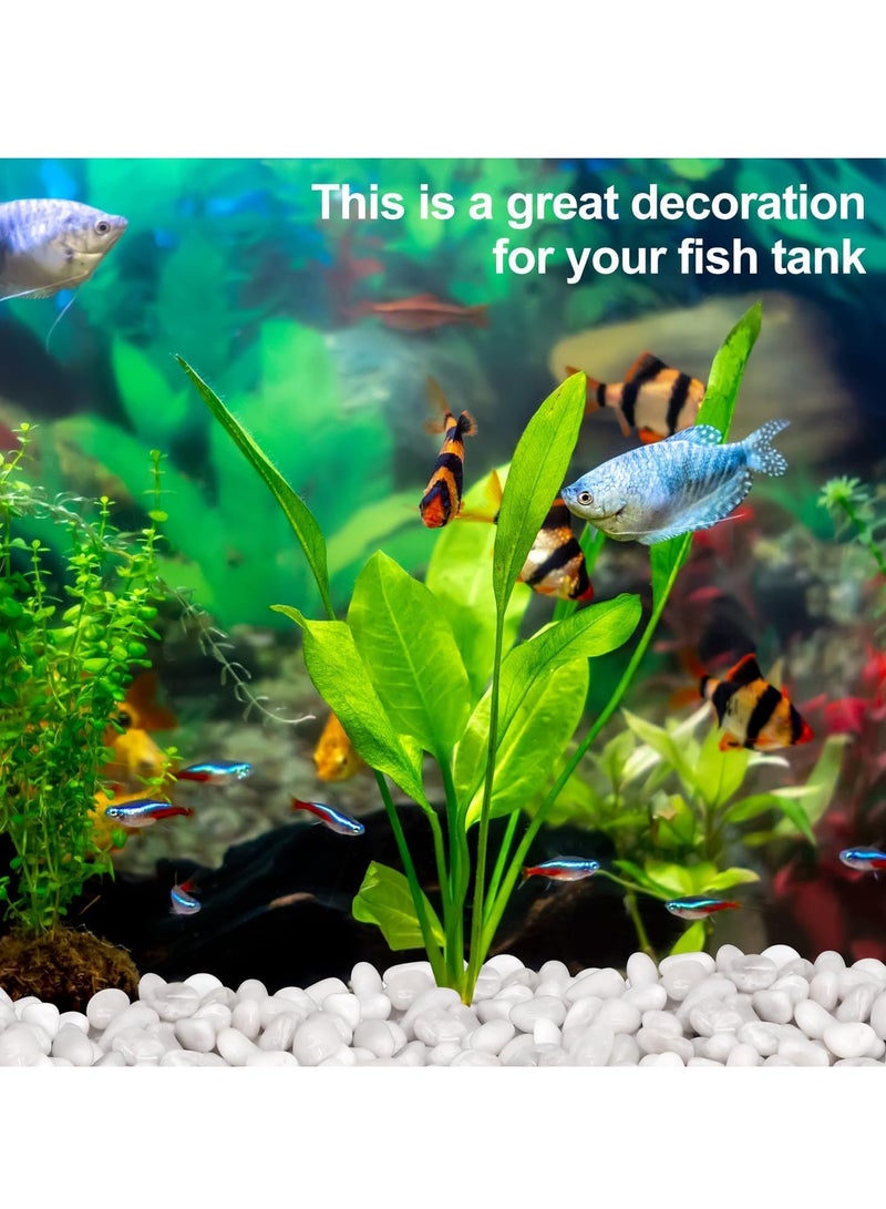 vsell24 Polished Natural White Pebbles (10–12mm) – Elegant Decorative Stones for Home & Indoor Décor - Image 4