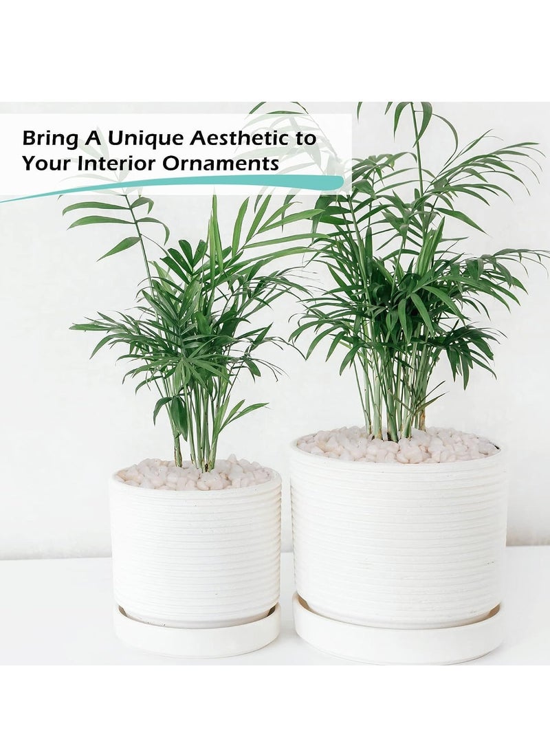 vsell24 Polished Natural White Pebbles (10–12mm) – Elegant Decorative Stones for Home & Indoor Décor - Image 2