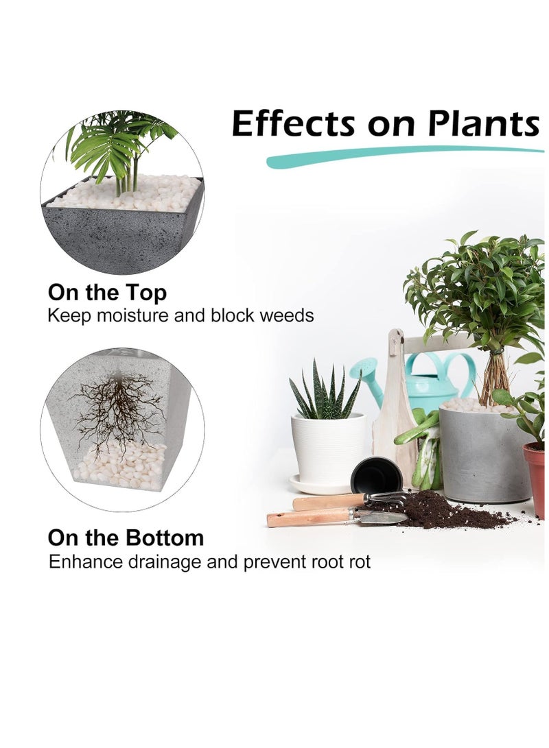 vsell24 Polished Natural White Pebbles (10–12mm) – Elegant Decorative Stones for Home & Indoor Décor - Image 3