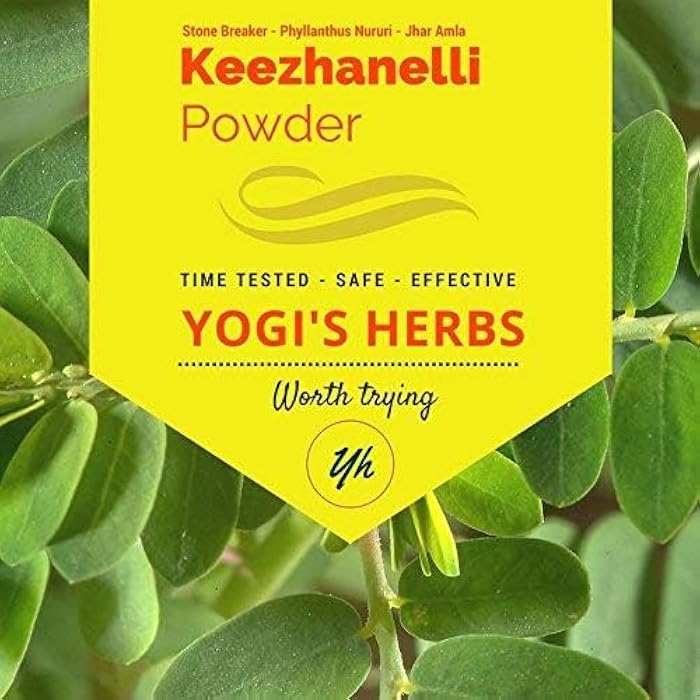 YOGIS HERBS Keezhanelli Powder (Phyllanthus Niruri) | Chanca Piedra Stone Breaker – Liver, Kidney & Gallbladder Support– Fresh & Pure Herbal Supplement (8 oz) - Image 1