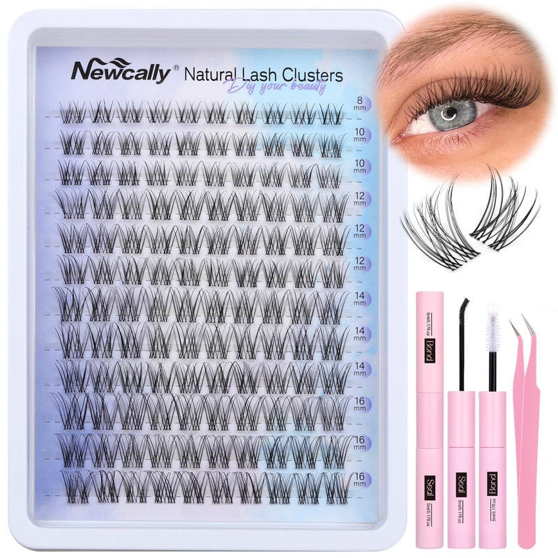 Newcally Lash Clusters Kit Natural Wispy DIY Eyelash Extension Kit 8-16MM Eyelash Clusters Kit D-curly Lash Extension Kit Thin Invisible Lash Band Individual Lashes Kit by Newcally - Image 1