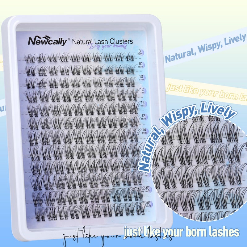 Newcally Lash Clusters Kit Natural Wispy DIY Eyelash Extension Kit 8-16MM Eyelash Clusters Kit D-curly Lash Extension Kit Thin Invisible Lash Band Individual Lashes Kit by Newcally - Image 3