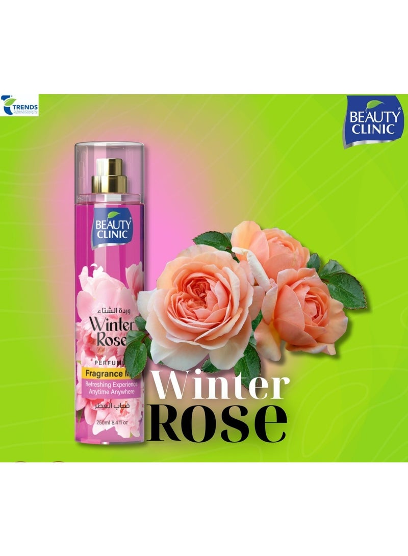 Beauty Clinic Fragrance Mists Winter Rose 250ml - Image 1