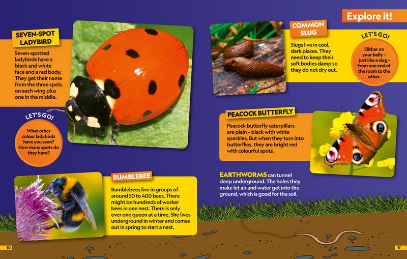 Insects Find it! Explore it! - Image 2