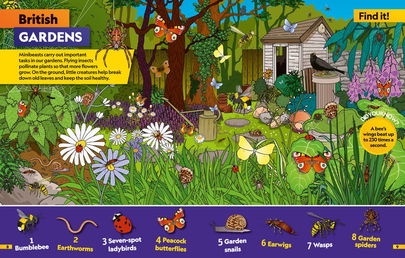 Insects Find it! Explore it! - Image 1