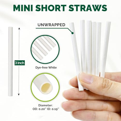 Chunspak 3'' Mini Paper Straws, Small Paper Sticks, Tasting Straws, Sample Straws, Stir Sticks, Fit for 1oz 2oz 3oz 4oz Portion Cups, DIY Crafts - 0.20"/5mm Dia. White, 500 Counts - Image 2