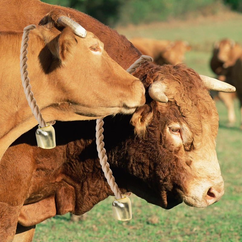 2Pcs Large 62g Thickened Imitation Gold Animal Bells for Livestock Cow Sheep Collar - Image 5