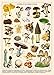BBOLDIN Vintage Mushroom Puzzle 1000 Pieces for Adult Vintage Fungi Jigsaw Puzzle of 25 Edible Mushrooms Champignons Plant Puzzle for Mycophile - Image 2
