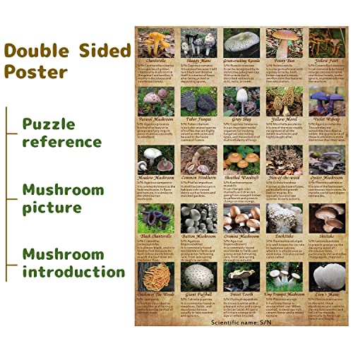 BBOLDIN Vintage Mushroom Puzzle 1000 Pieces for Adult Vintage Fungi Jigsaw Puzzle of 25 Edible Mushrooms Champignons Plant Puzzle for Mycophile - Image 5
