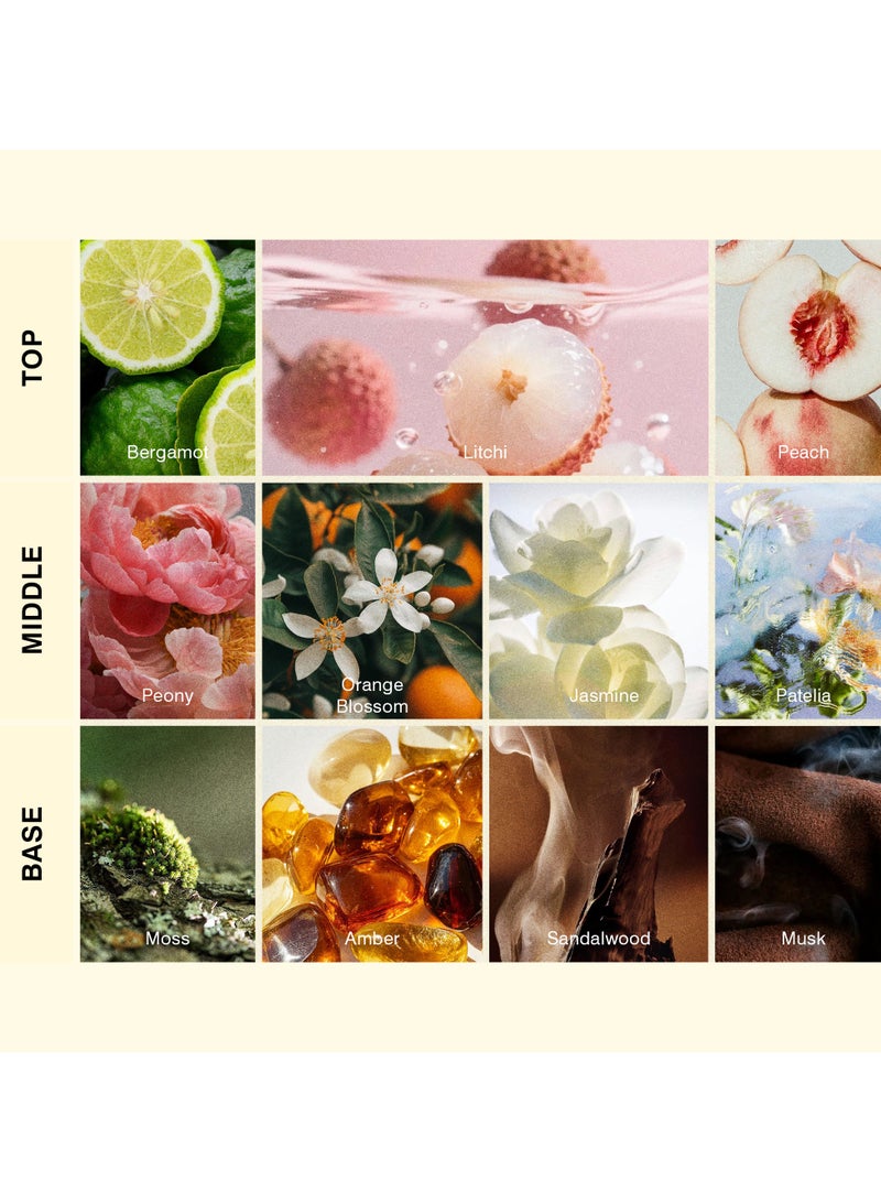 آيسنت ISCENT | Fleur de Litchi –إعادة تعبئة الزيت لمعطر إينزو الصغير-100 مل عطر مميز برائحة الليتشي والفاوانيا وخشب الصندل للمنزل و السيارة | مزيجٌ متألق من الأزهار الرقيقة والنعومة العصرية - Image 2