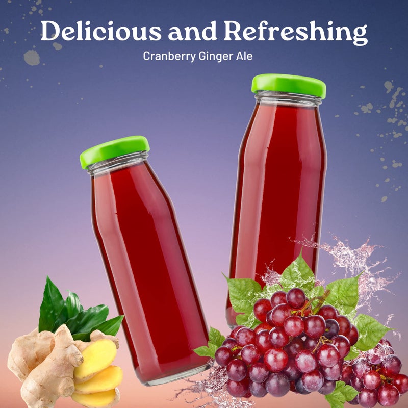 LLE Canada Dry Powder Drink Mix Cranberry Ginger Ale Flavor, Sugar Free & Delicious Water Enhancer Easy to Prepare Powdered Beverages for Picnic Camping Outdoor Drinks 6ct Box, 2 Boxes-12 Sticks Total - Image 3