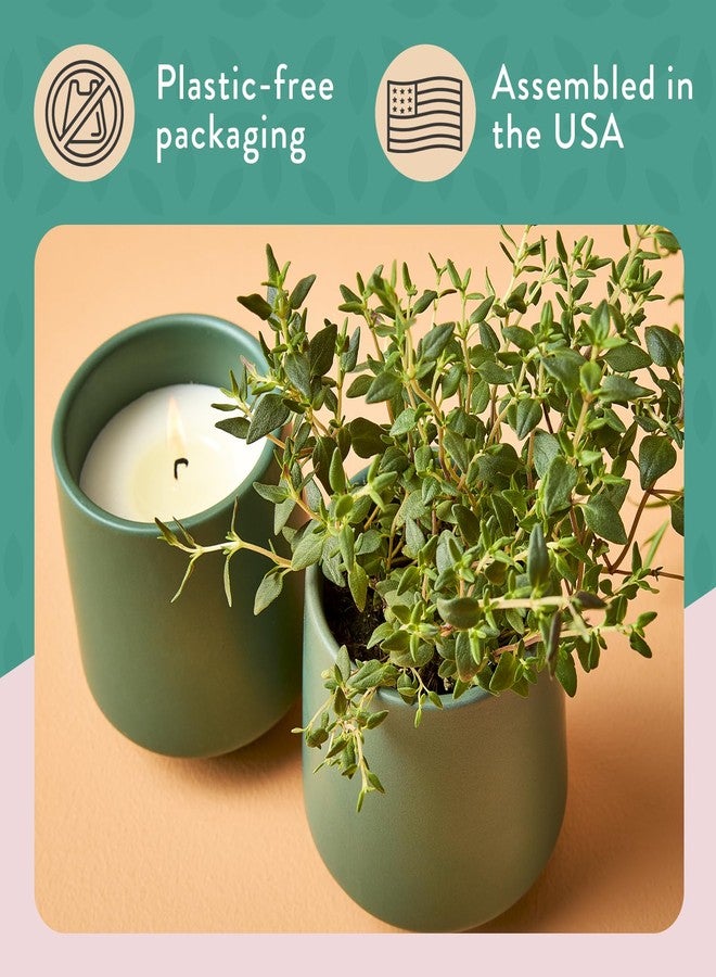 Modern Sprout مودرن سبراوت - شمعة 2 في 1 برائحة حبوب التونكا وشمع الصويا مع بذور تنمو لتصبح نبتة زعتر - 6 أونصات مع وقت احتراق 42 ساعة في وعاء سيراميك مزجج غير لامع، مثالية لحديقة الأعشاب الداخلية - Image 4