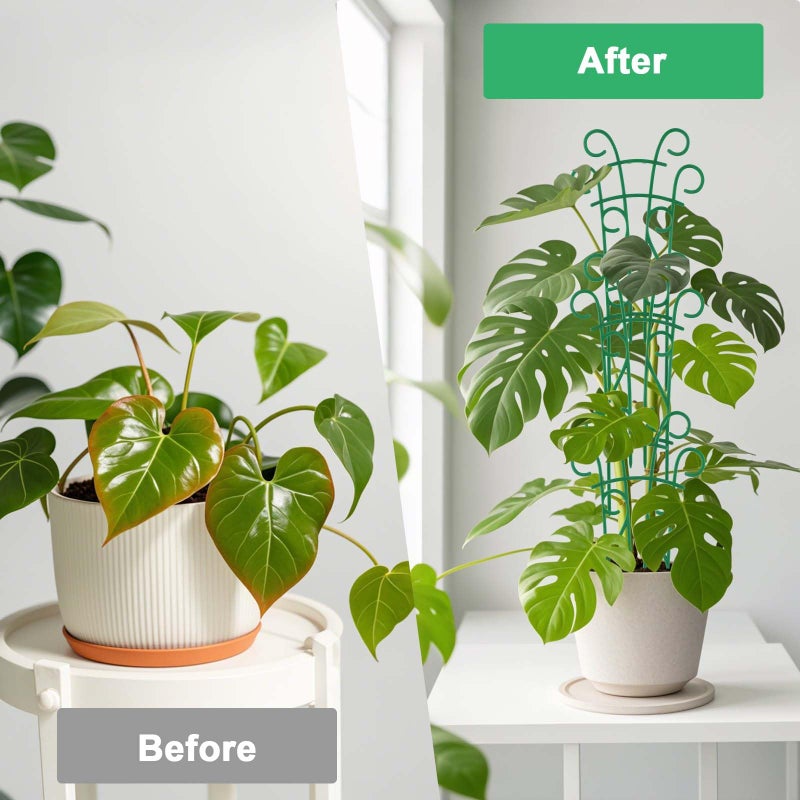 Qaobo Indoor Plant Trellis for Climbing Plants, 8 Pack Garden Trellis for Potted Plants Stackable Plant Trellis Plant Stakes for Indoor Plants Accessories Flower Plant Support - Image 4