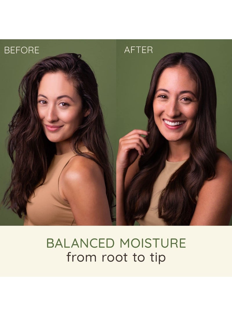Aveeno Scalp Soothing Oat Milk Blend Shampoo  354 ML - Image 3