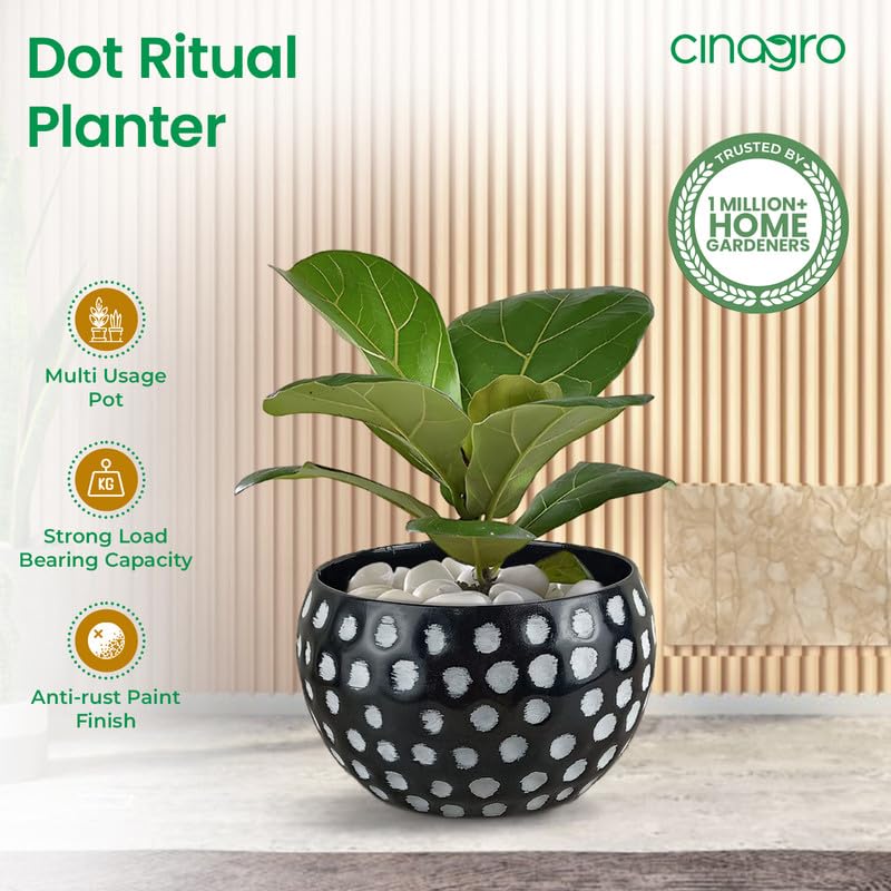 CINAGRO Metal Planter Pot for Indoor Plants, Round Decorative Flower Pot, Rust-Resistant, Modern Plant Holder for Home, Balcony, Office (13.97 x 17.78 cm, Dot Ritual) - Image 2