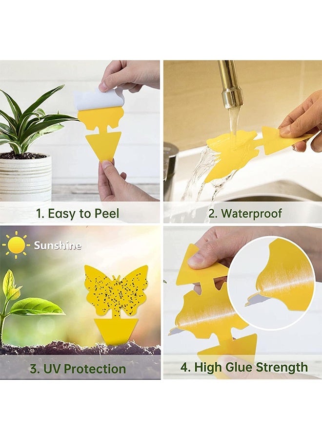 24 Pcs Double-sided Fruit Fly Traps, Fungus Gnat Sticky Fly Catcher, Non-Toxic Waterproof Insect Control for Indoor & Outdoor Plant Pest Control - Image 2