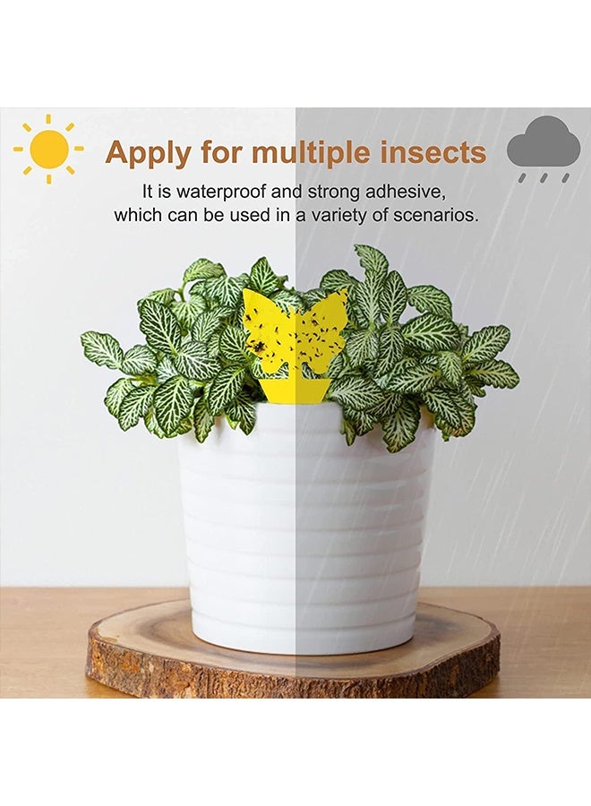 24 Pcs Double-sided Fruit Fly Traps, Fungus Gnat Sticky Fly Catcher, Non-Toxic Waterproof Insect Control for Indoor & Outdoor Plant Pest Control - Image 3