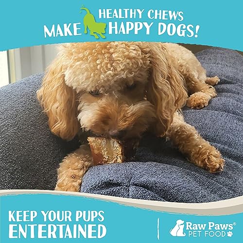 Raw Paws Smoked Beef Marrow Bones for Dogs - 3-4-Inch (8-Count) Packed in USA - Long Lasting Beef Bones - Bone Treat - Dog Chew for Aggressive Chewers - Dog Marrow Bone Treats - Image 5