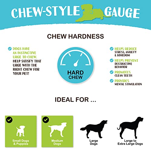 Raw Paws Smoked Beef Marrow Bones for Dogs - 3-4-Inch (8-Count) Packed in USA - Long Lasting Beef Bones - Bone Treat - Dog Chew for Aggressive Chewers - Dog Marrow Bone Treats - Image 4