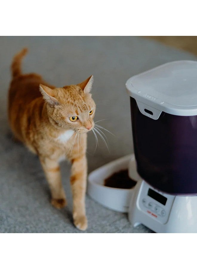 Cat Mate C3000 Automatic Dry Food 3-Meal Feeder, BPA Free for Cats & Small Dogs - Image 4