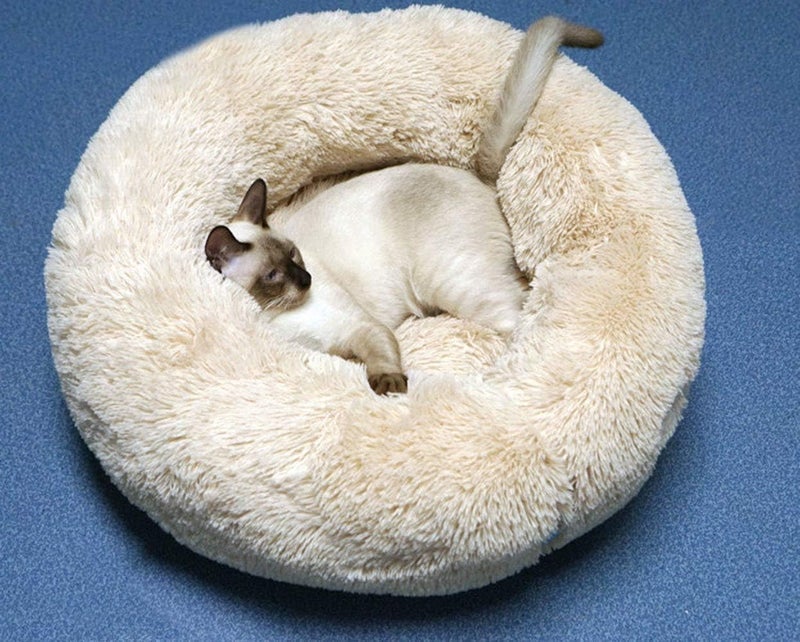 Modern Soft Plush Round Pet Bed for Cats or Small Dogs, Mini Medium Sized Dog Cat Bed Self Warming Autumn Winter Indoor Snooze Sleeping Cozy Kitty Teddy Kennel (M(23.6”Dx7.9 H), Champagne) - Image 3