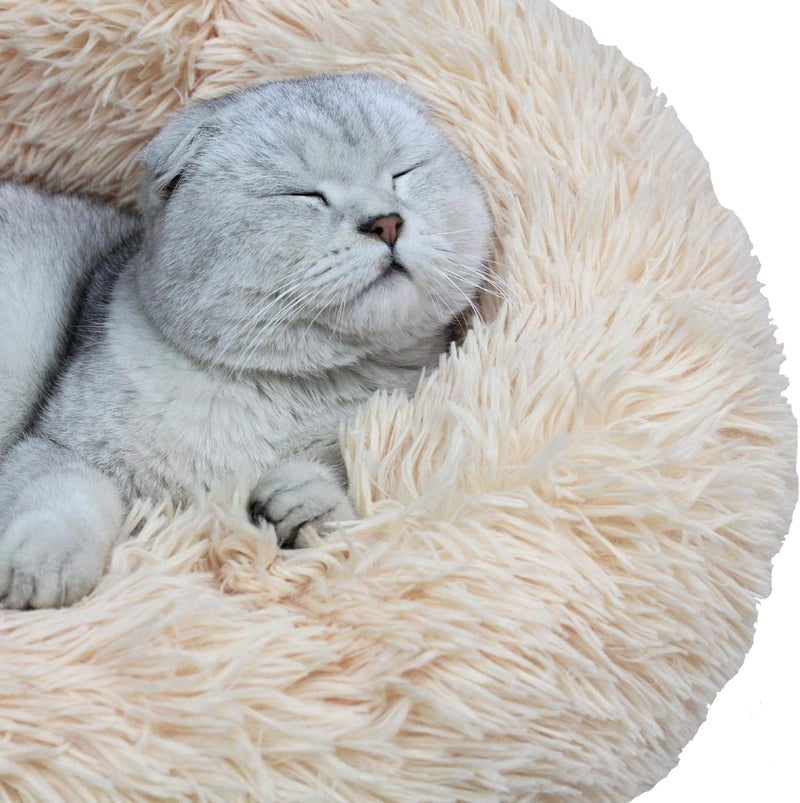 Modern Soft Plush Round Pet Bed for Cats or Small Dogs, Mini Medium Sized Dog Cat Bed Self Warming Autumn Winter Indoor Snooze Sleeping Cozy Kitty Teddy Kennel (M(23.6”Dx7.9 H), Champagne) - Image 4