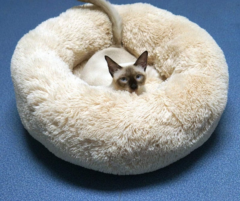 Modern Soft Plush Round Pet Bed for Cats or Small Dogs, Mini Medium Sized Dog Cat Bed Self Warming Autumn Winter Indoor Snooze Sleeping Cozy Kitty Teddy Kennel (M(23.6”Dx7.9 H), Champagne) - Image 2