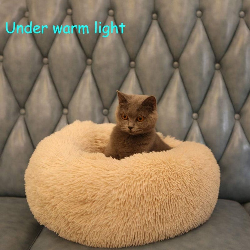 Modern Soft Plush Round Pet Bed for Cats or Small Dogs, Mini Medium Sized Dog Cat Bed Self Warming Autumn Winter Indoor Snooze Sleeping Cozy Kitty Teddy Kennel (M(23.6”Dx7.9 H), Champagne) - Image 5