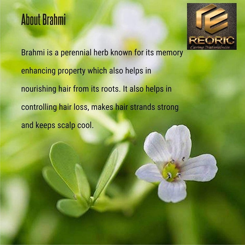 REORIC Reoric brahmi leaf powder brahmi powder for hair growth brahmi powder Organic Brahmi Powder bacopa monnieri powder organic hair powder  Natural Bhahmi leaf powder100g Pack of 1  - Image 4
