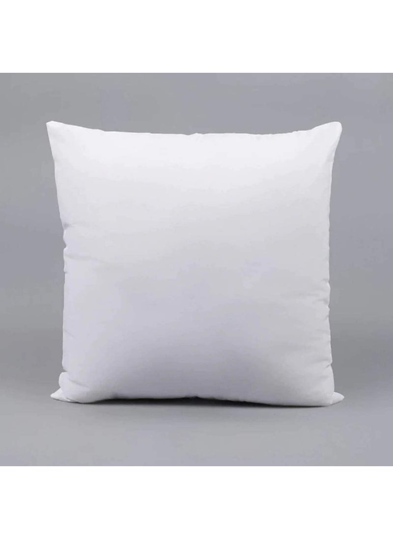 ANITA CORPORATION Microfiber Square Cushion Pillow Fillers Inserts for Bed Sofa 20 x 20 Inch White