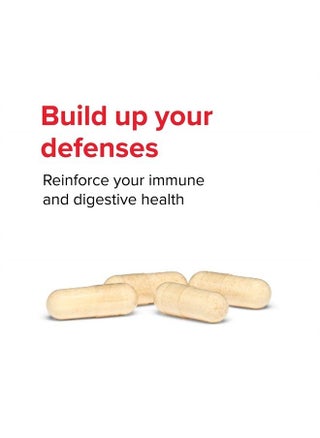 , Immune Defense, Natural Immune and Digestive Support, 60 Capsules - pzsku/ZC0A1A5603BAA94FAE9A1Z/45/_/1687911593/65e2d656-43f0-4446-a742-c427f8e87746