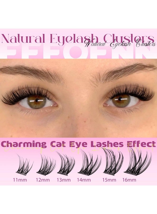 Eefofnn Wispy Lash Clusters Natural Eyelash Clusters C Curl Cluster Eyelash Extensions 11-16 mm Cluster Lashes Left Right Eyelash Extension Cat Eye Lashes Clusters DIY Individual Lashes by Eefofnn - Image 3