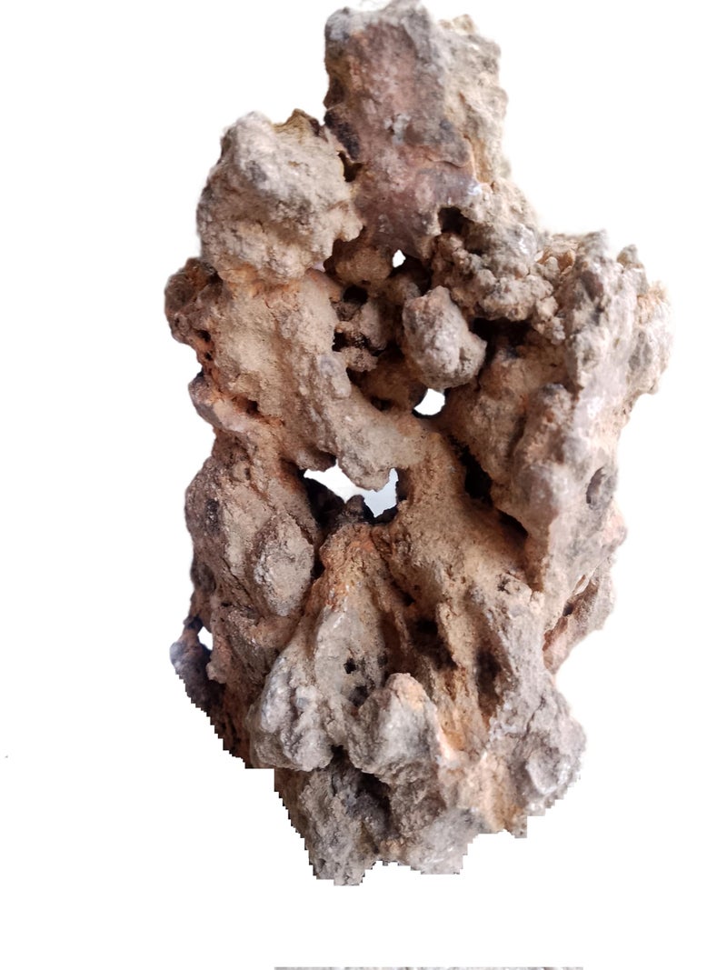 RUKDA Natural Hole Stone for Bonsai - Handpicked Quality Stone for Bonsai Cultivation Decorative and Functional Root Anchoring, Drainage, and Aesthetic Enhancement in Bonsai Plant (Large) - Image 4