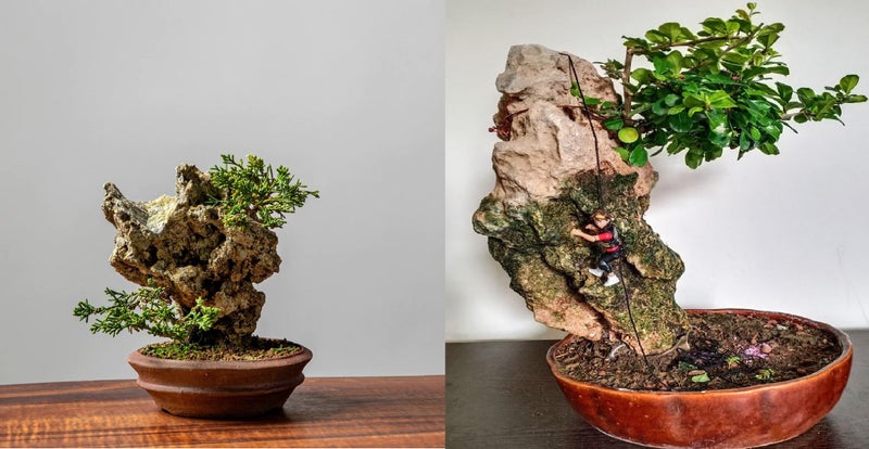 RUKDA Natural Hole Stone for Bonsai - Handpicked Quality Stone for Bonsai Cultivation Decorative and Functional Root Anchoring, Drainage, and Aesthetic Enhancement in Bonsai Plant (Large) - Image 3