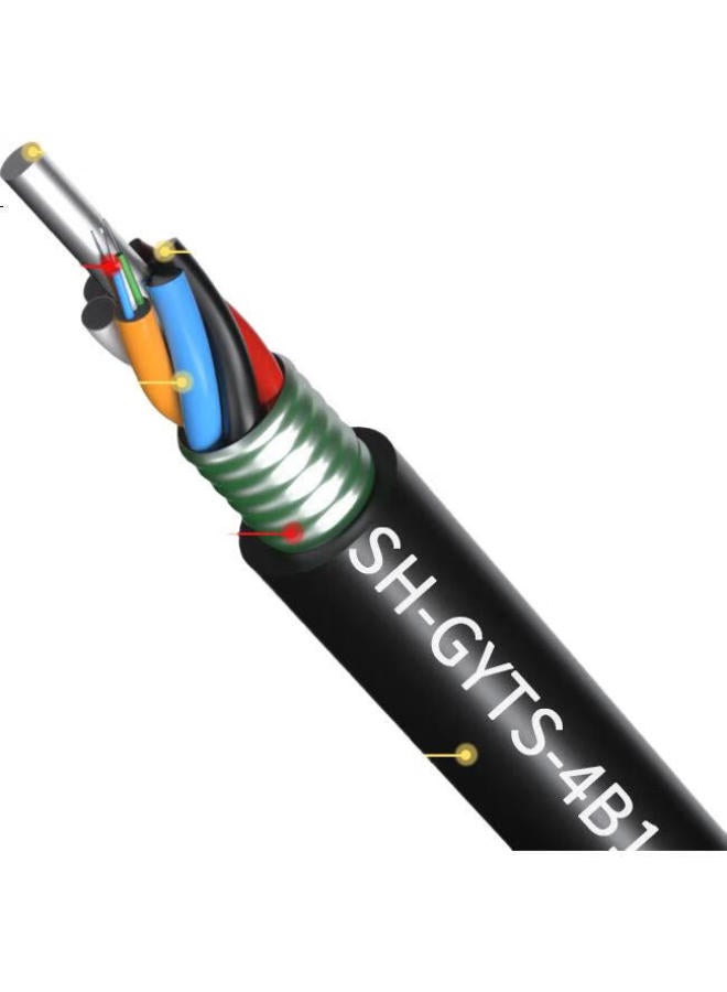 Suhao Gyts Outdoor Optical Cable, Telecom-Grade National Standard Optical Cable, 4-Core Optical Cable 1 Meter, Layer-Braided Single-Mode Armored Optical Cable, 4-Core Outdoor Fiber Optic Cable Gyts - Image 1