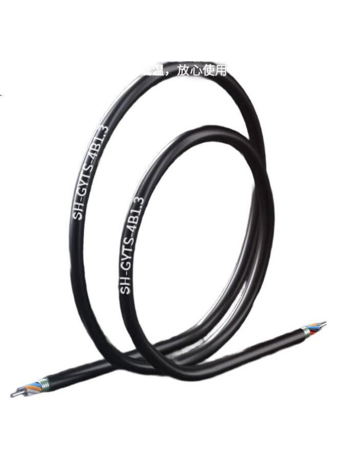 Suhao Gyts Outdoor Optical Cable, Telecom-Grade National Standard Optical Cable, 4-Core Optical Cable 1 Meter, Layer-Braided Single-Mode Armored Optical Cable, 4-Core Outdoor Fiber Optic Cable Gyts - Image 2