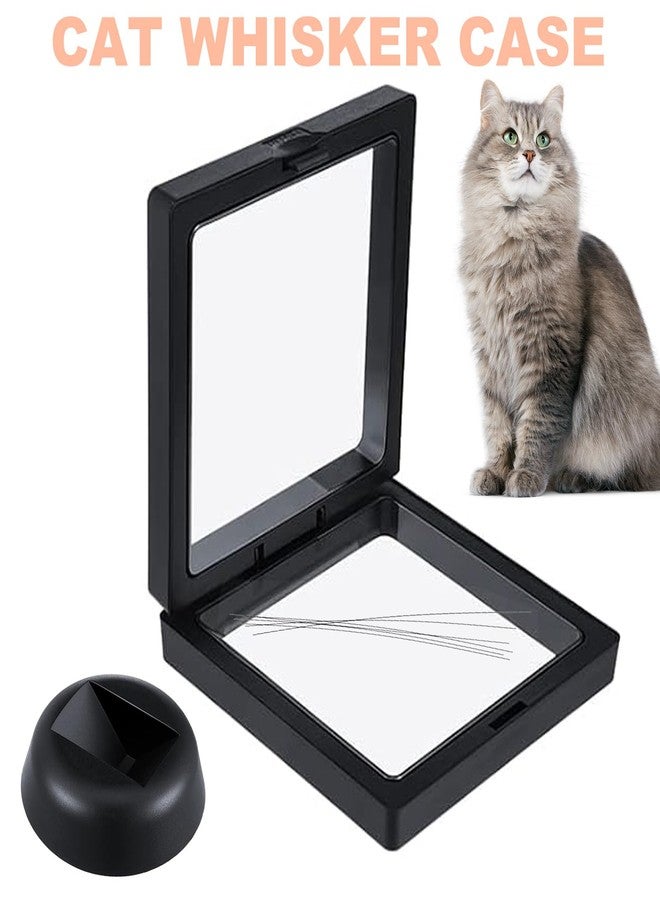 Anranmm 2 Pack Cat Whisker Holder, Cat Whisker 3D Floating Display Case with Base, 3D Floating Frame Display Case for Pet Fur Beard Hair, Mini Decor for Home & Memorial Gift for Pet Lovers - Image 2