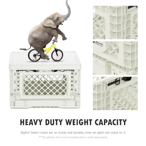 Bigant Heavy Duty Collapsible & Stackable Plastic Milk Crate - Snap Lock Foldable Industrial Garage Storage Bin Container Utility Tote Basket (Ivory, 1 Small Crate) - Image 4