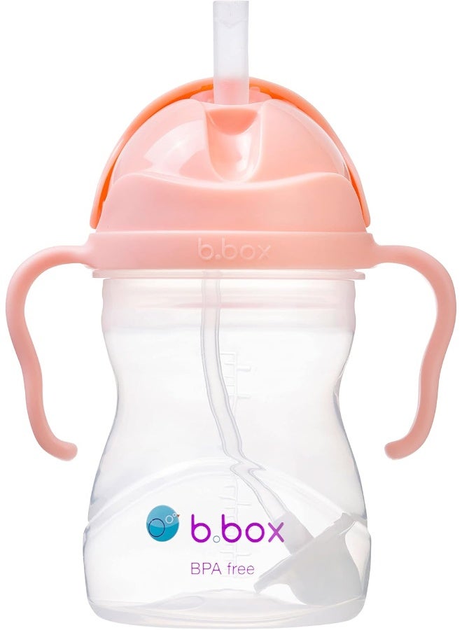 b.box Sippy Cup Straw Mug - Image 1