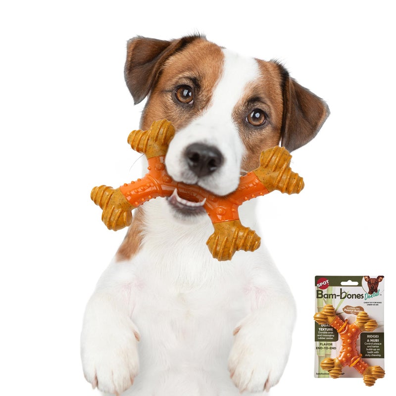SPOT Bam-Bones Dental X-Bone - Made with Bamboo Fiber and a Massaging Rubber Center, Durable Oral Care Dog Chew for Light Chewers & Teething Puppies under 40lbs, 8in Allergen Free Peanut Butter Flavor - Image 2