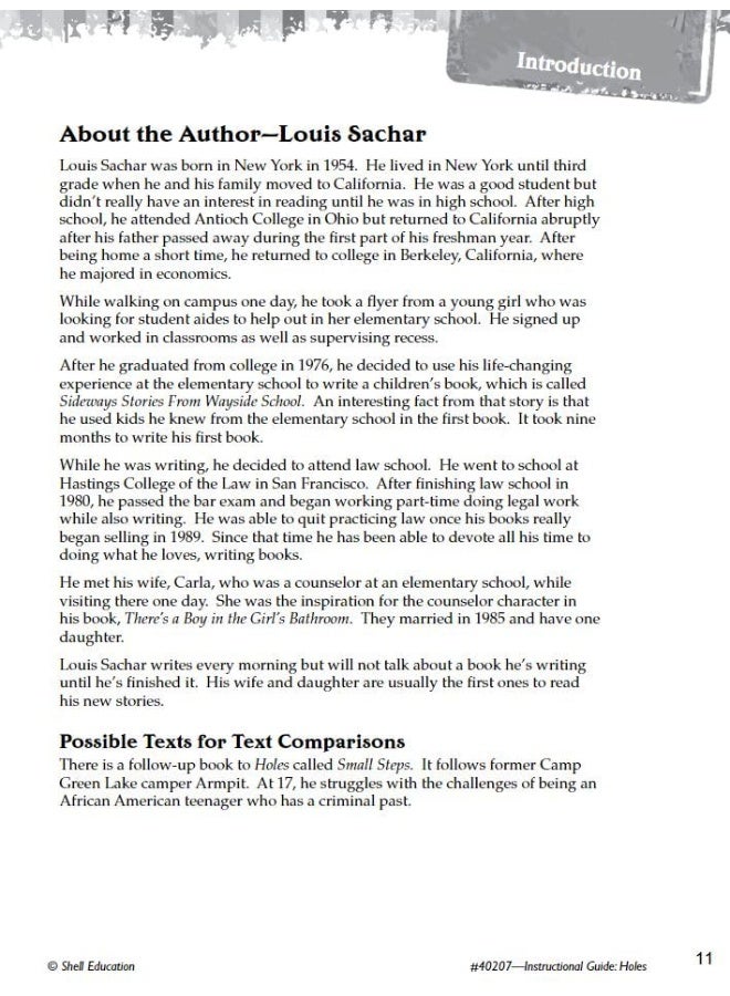 Holes: An Instructional Guide for Literature - Image 3