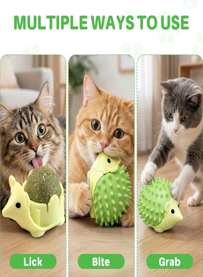 Walfront Cat Toys for Indoor Cats - Catnip Ball Green Hedgehog, Interactive Rotating Self-Play Fun, Teeth Cleaning Dental Chew, Wall-Mount, Stress & Boredom Relief for Kittens & Adult Cats - Image 5
