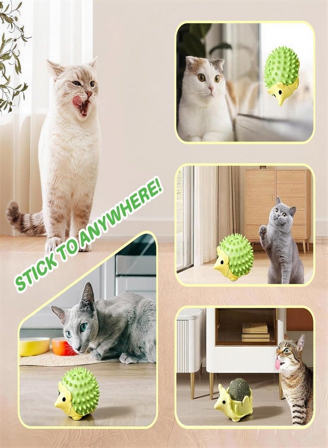 Walfront Cat Toys for Indoor Cats - Catnip Ball Green Hedgehog, Interactive Rotating Self-Play Fun, Teeth Cleaning Dental Chew, Wall-Mount, Stress & Boredom Relief for Kittens & Adult Cats - Image 4