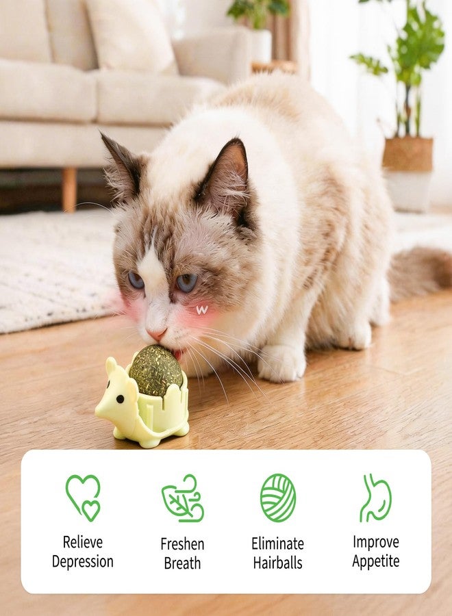 Walfront Cat Toys for Indoor Cats - Catnip Ball Green Hedgehog, Interactive Rotating Self-Play Fun, Teeth Cleaning Dental Chew, Wall-Mount, Stress & Boredom Relief for Kittens & Adult Cats - Image 3