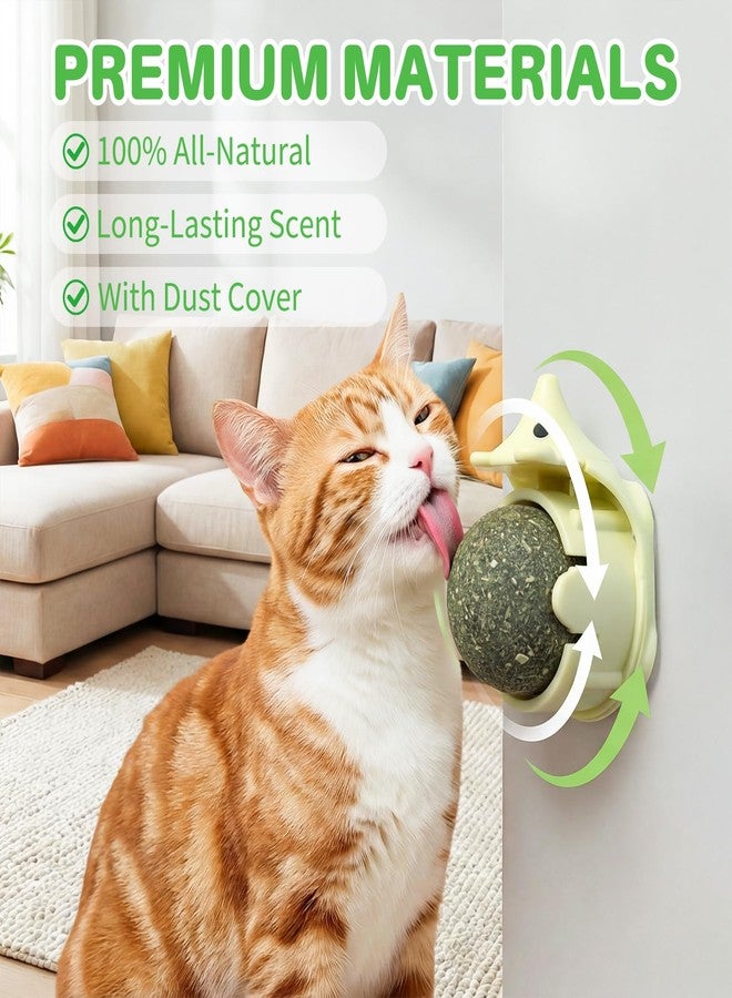 Walfront Cat Toys for Indoor Cats - Catnip Ball Green Hedgehog, Interactive Rotating Self-Play Fun, Teeth Cleaning Dental Chew, Wall-Mount, Stress & Boredom Relief for Kittens & Adult Cats - Image 2