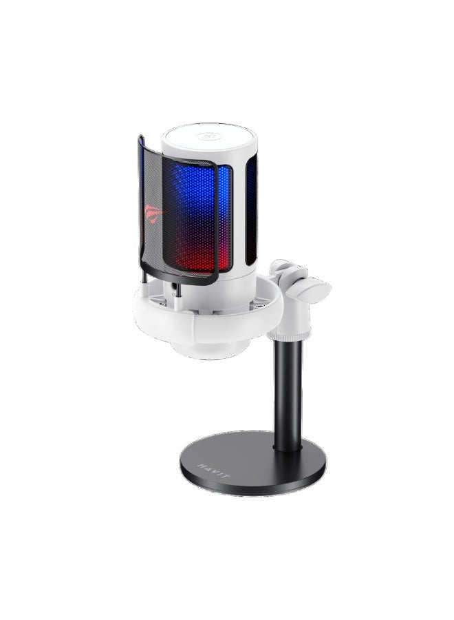 Havit GK50 Condenser RGB Light Type C Studio Recording Microphone for Computer and Conference Use Podcast Microphone - Image 1