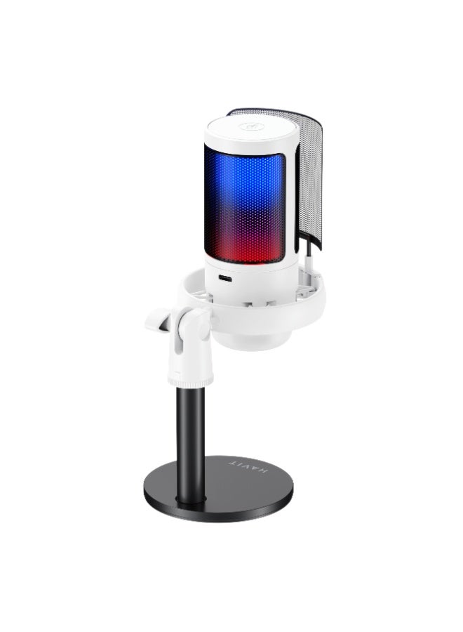 Havit GK50 Condenser RGB Light Type C Studio Recording Microphone for Computer and Conference Use Podcast Microphone - Image 2