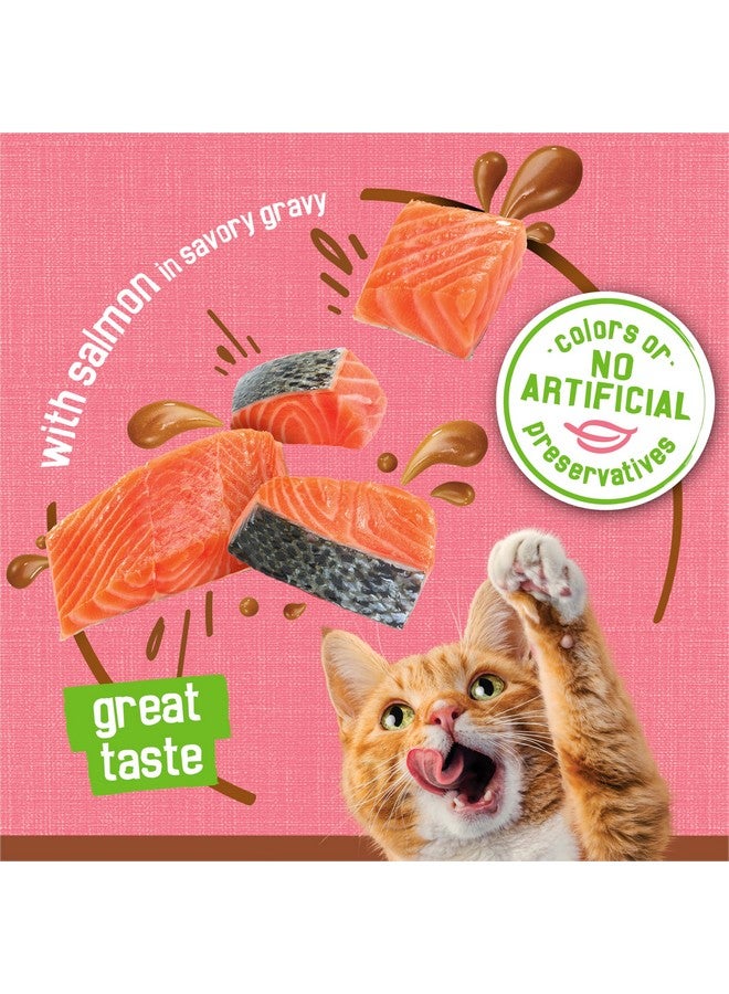 فريسكس طعام القطط الرطب بورينا فريسكيز، باتيه مرق إضافي مع سمك السلمون في مرق لذيذ - (عبوة من ٢٤ علبة) ٥.٥ أونصة - Image 4
